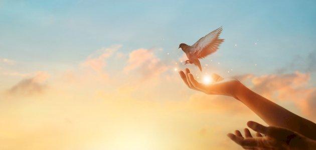 nada_eid_88's profile header