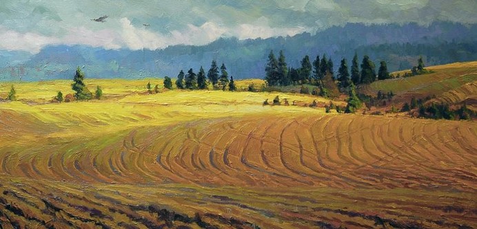 High meadow surrounded by mountains.