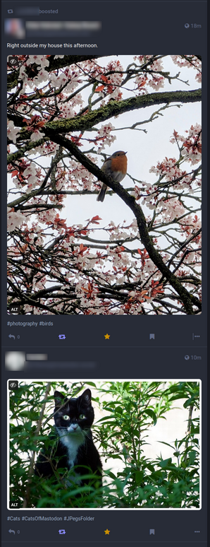Coincidence of nature photos on my feed. One is a bird, one is a cat, but the juxtaposition makes it look like the cat is eagerly watching the bird!